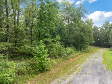 213 Jason Hollow Rd, Cedar Grove, TN 38321 - photo 5