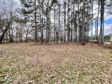 0 Old Orchard Rd unit 4102935, Madison, MS 39110 - photo 4