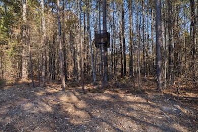 0 Ben Mosley Cir unit 25735821, Summerville, GA 30747 - photo 4