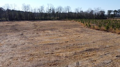 8 S Carolina 6, Cross, SC 29436 - photo 4