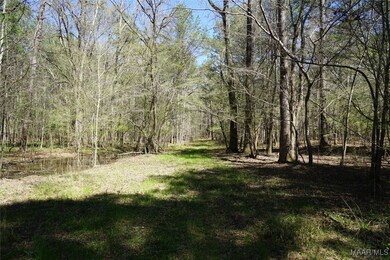 200 Old Barnes Rd, Pine Level, AL 36065 - photo 7