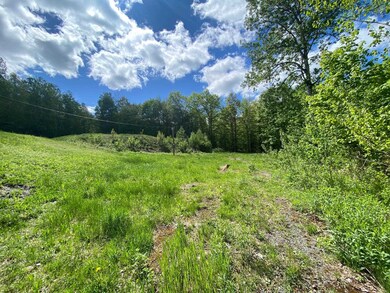 264 Moose Mountain Dr, Stewartstown, NH 03597 - photo 4