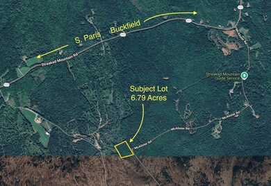 6.79 A End McAllister Rd, Buckfield, ME 04220 - photo 3