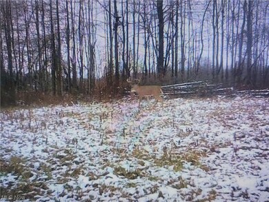 2242 Ohio 46, Jefferson, OH 44047 - photo 3