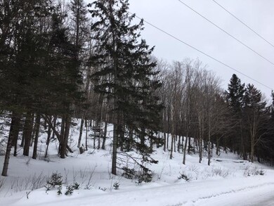 Lot 42-43 Daniel Beard Rd, Pittsburg, NH 03592 - photo 3