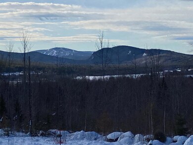 Lot 3-2 Thoreau Rd, Hanover, ME 04237 - photo 3