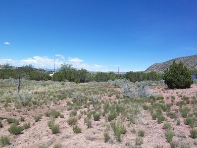 788 Highway 165, Placitas, NM 87043 - photo 3