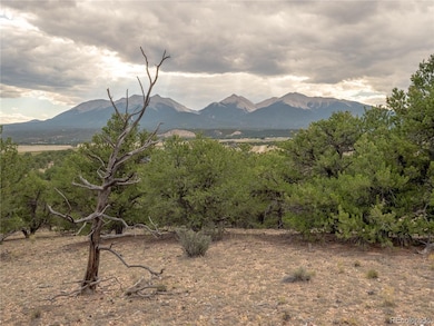 10286 Pioneer Trc, Nathrop, CO 81236 - photo 2