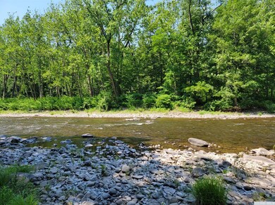 0 Off Indian Ridge Ext Rd, Athens, NY 12015 - photo 5