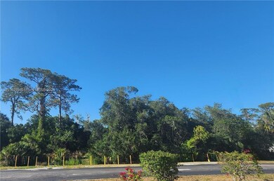 0 W Hickpochee Ave unit A11916789, Labelle, FL 33935 - photo 2