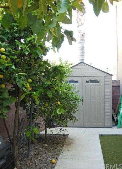 Large side yard with lemon, lime, and guava trees.