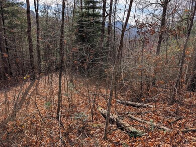 Lot 83 Garnet Rd, Sylva, NC 28779 - photo 6