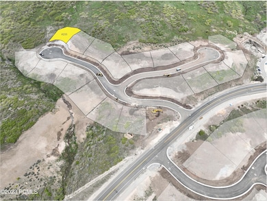 2058 W Capricorn Ct, Mayflower Mnt, UT 84032 - photo 3