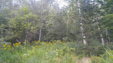 Lot 73 Chadbourne Rd, Harmony, ME 04942 - photo 3