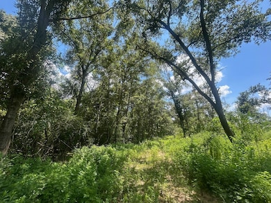 0 Creel Rd unit 23835353, Theodore, AL 36582 - photo 4