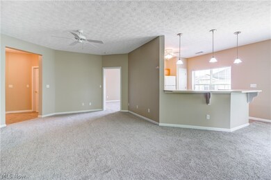 613 Aqua Marine Blvd unit 13, Avon Lake, OH 44012 - photo 6