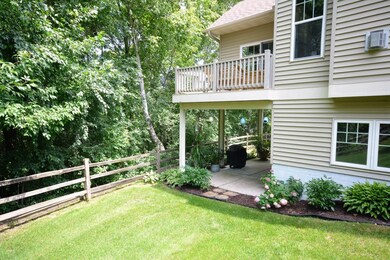 Private wooded view from the backyard