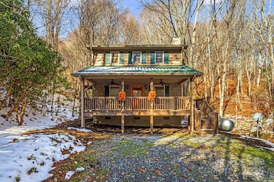 7158 Max Patch Rd, Hot Springs, NC 28743 - photo 3