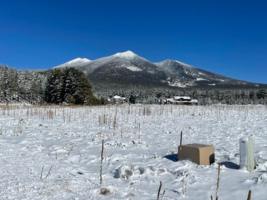 IMG_8834