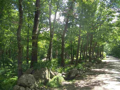 00 Bailey Rd unit 66B, Chichester, NH 03258 - photo 5