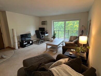 2366 Commonwealth Ave unit 3-3, Auburndale, MA 02466 - photo 2