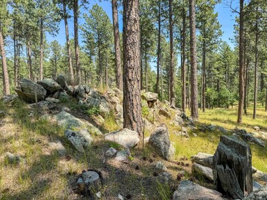 Tract Campfire Three Meadows Rd unit Lakota Lakes, East Custer, SD 57751 - photo 7