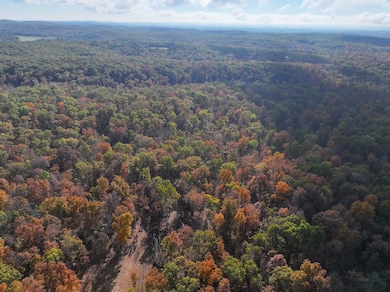 0 Tower Rd unit Lot WP001 22284674, Big River Township, MO 63628 - photo 2