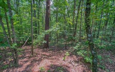 0 Wendy Hill Rd unit 327392, Ellijay, GA 30536 - photo 6