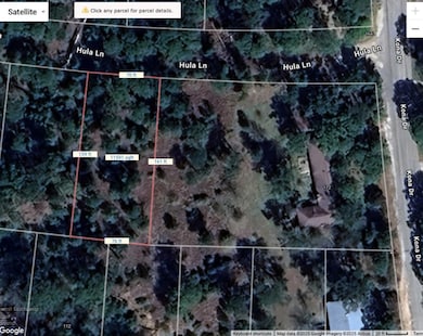 TBD Hula Ln, Bastrop, TX 78602 - photo 5