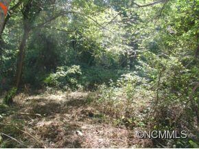 99999 Caribou Rd, Asheville, NC 28803 - photo 7