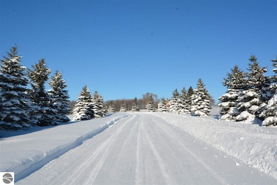 8399 Boca Vista Trail unit 9, Traverse City, MI 49684 - photo 4