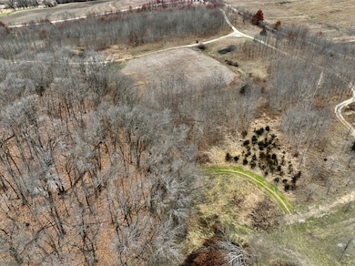 Tbd Lake Ave, Kilkenny, MN 56052 - photo 5