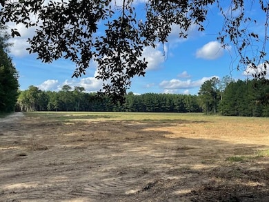 4 S Carolina 45, Cross, SC 29436 - photo 5