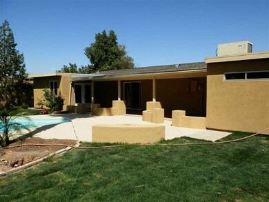 back yard 1