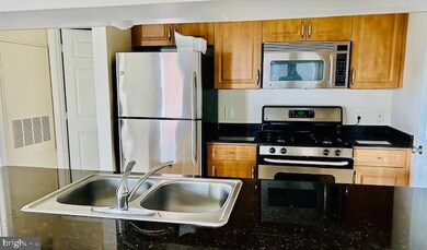 12909 Centre Park Cir unit 308, Oak Hill, VA 20171 - photo 6