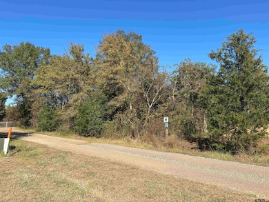 Lot 166 Kitty Hawk Dr, Berryville, TX 75763 - photo 2