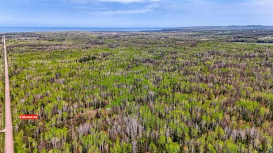 Aerial view of a heavily wooded area