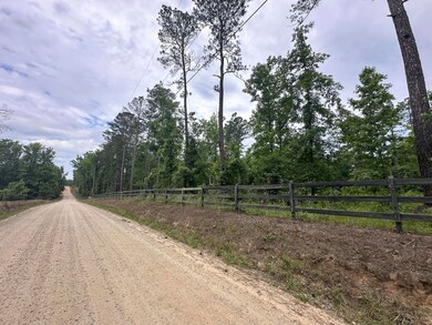 1540 Watson Bailey Rd, Harlem, GA 30814 - photo 7