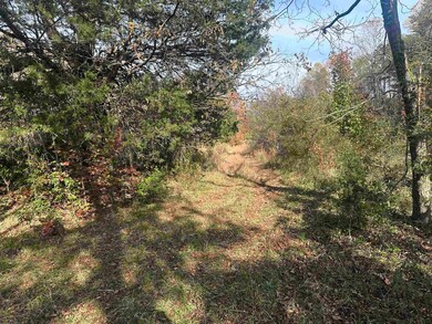 1948 Few Chapel Rd, Greer, SC 29651 - photo 6