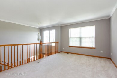 927 Vintage Way, Spring Grove, IL 60081 - photo 7