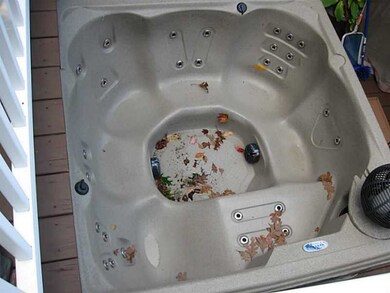 Swimming Pool/Hot Tub/Sauna. new Jacuzzi