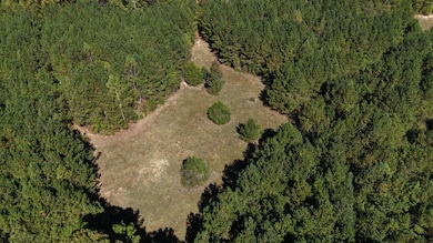 108 Williams Dr, Jacksons Gap, AL 36861 - photo 5