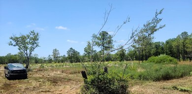 00 Whigham Way, Alvin, TX 77511 - photo 2