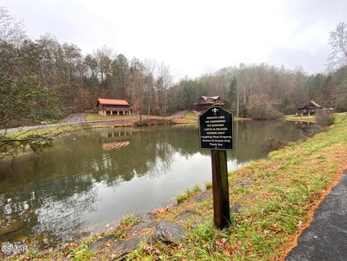 Lot 71 Max Ridge Ln, Sevierville, TN 37862 - photo 6