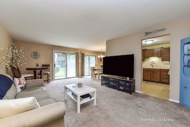 2105 Lancaster Cir unit 102B, Naperville, IL 60565 - photo 6