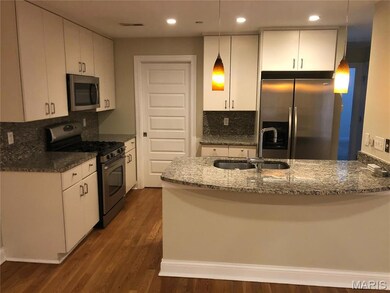 910 N Mcknight Rd unit 3A, Saint Louis, MO 63132 - photo 2