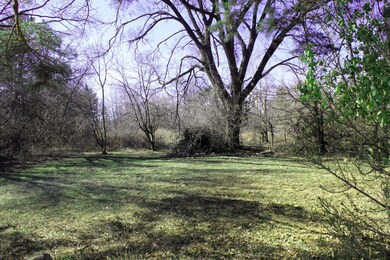 4229 Maize Rd, Columbus, OH 43224 - photo 2