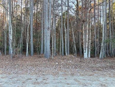 Lot 12B Woods Rd, Seagrove, NC 27341 - photo 3