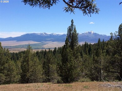 0 Grant Pine Hunt unit 20159261, Prairie City, OR 97869 - photo 4