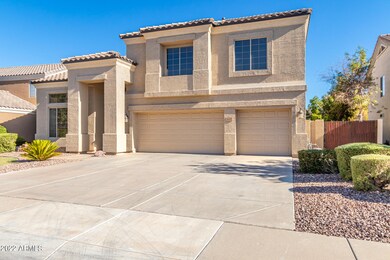 0006-6 - Pinon 4119